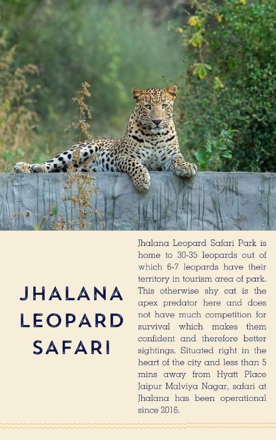 Hyatt Place Jaipur Malviya Nagar Eksteriør bilde Jhalana Leopard